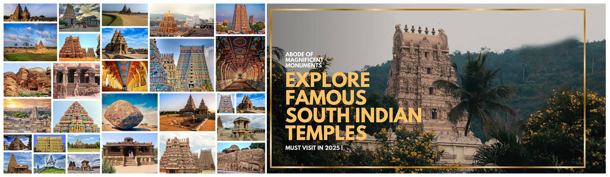 South India Tour Tours